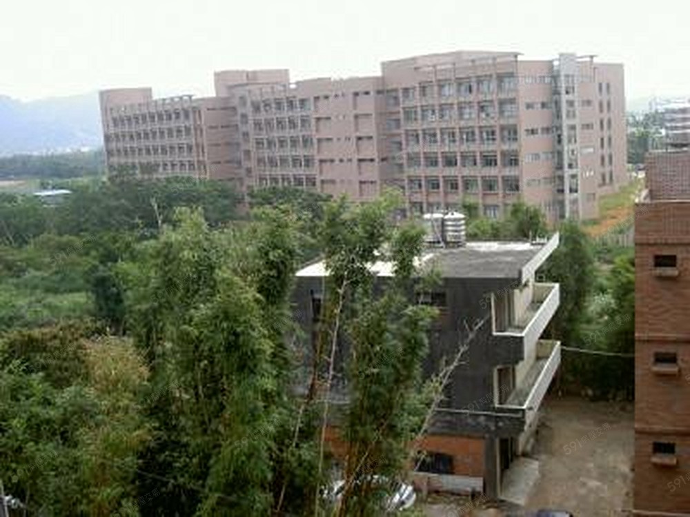 頂樓外景觀1，新生醫專旁