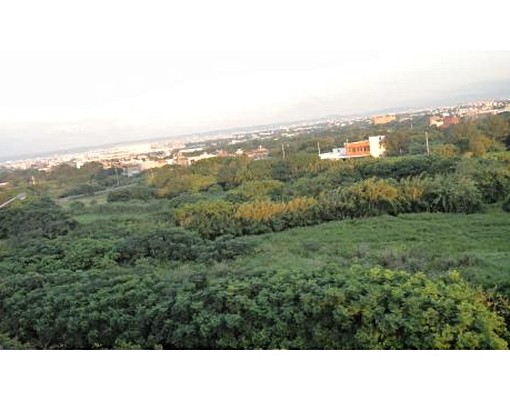 近機場.工業區.交流道.可屋補.可短租 - Image 5