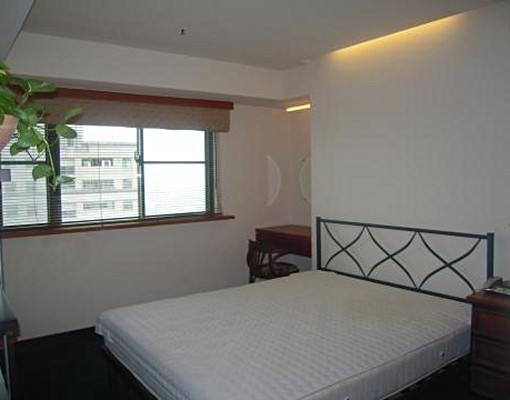 設計師的作品出租 - Image 2