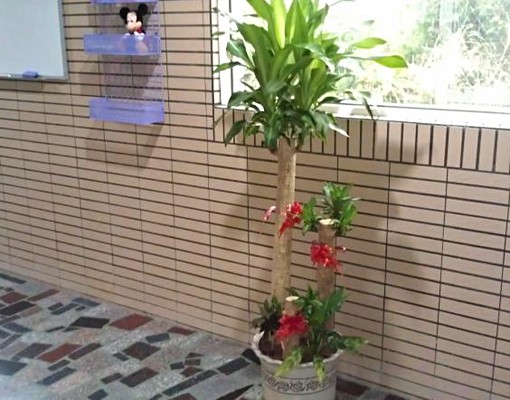 菓林全新優質套房 - Image 7