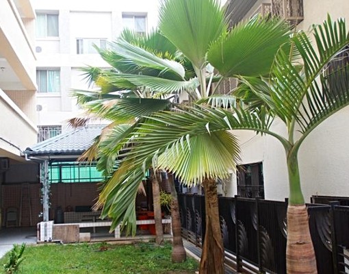 台南應大及南科CP值高!校門口單人套房 - Image 9