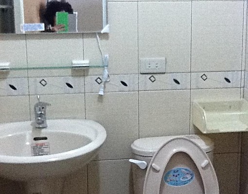 後驛三角窗,全新電梯,太陽能優質套房 - Image 2