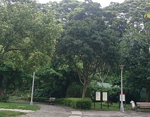 捷運辛亥站兩房公寓三樓 - Image 10
