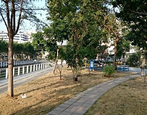 整棟出租.面向公園.一樓可當工作室.開伙 - Image 1