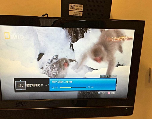 可租補近芝山站★限女附家俱家電(F)★有代收垃圾★變頻冷暖 - Image 6