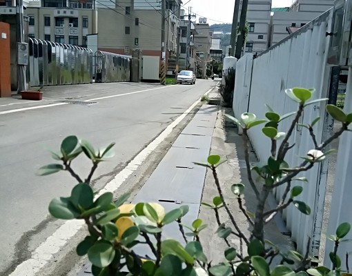 蘭花園獨立簡易小木屋套房出租 - Image 6