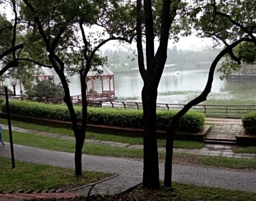 科學園區電梯一大房一大廳，不看會後悔! - Image 8