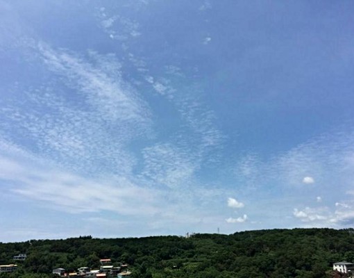 交通景觀新豪宅 - Image 4