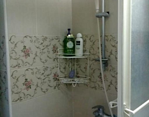 三面採光年年有餘陽光屋(租屋補助可) - Image 7