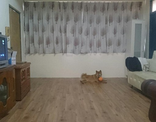 板橋中正路優質三房公寓出租 - Image 2