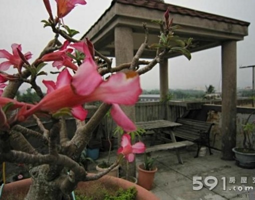 特優套房近義大醫,樹科大,一科大,義守 - Image 1