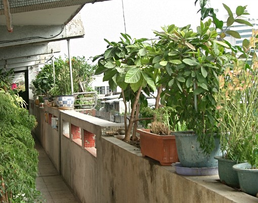 近永春站、松山站和101 - Image 3