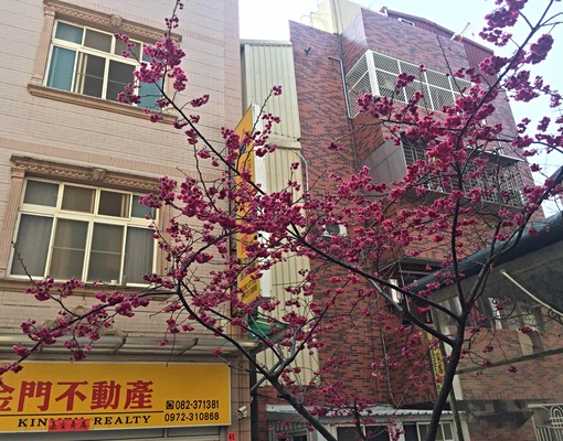 金門金城四樓套房出租 - Image 1