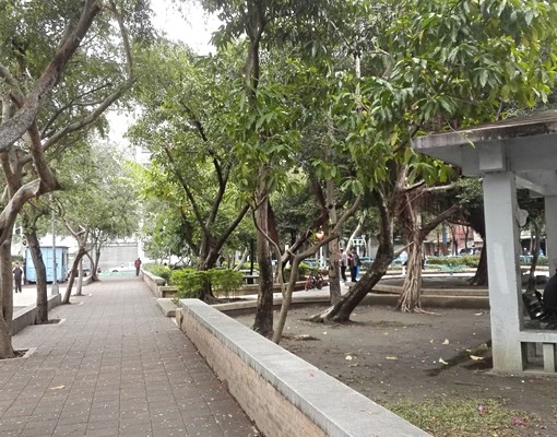 可租補入籍後,房租萬元以下,獨立全新滾筒洗衣機,全新乾溼分離 - Image 11