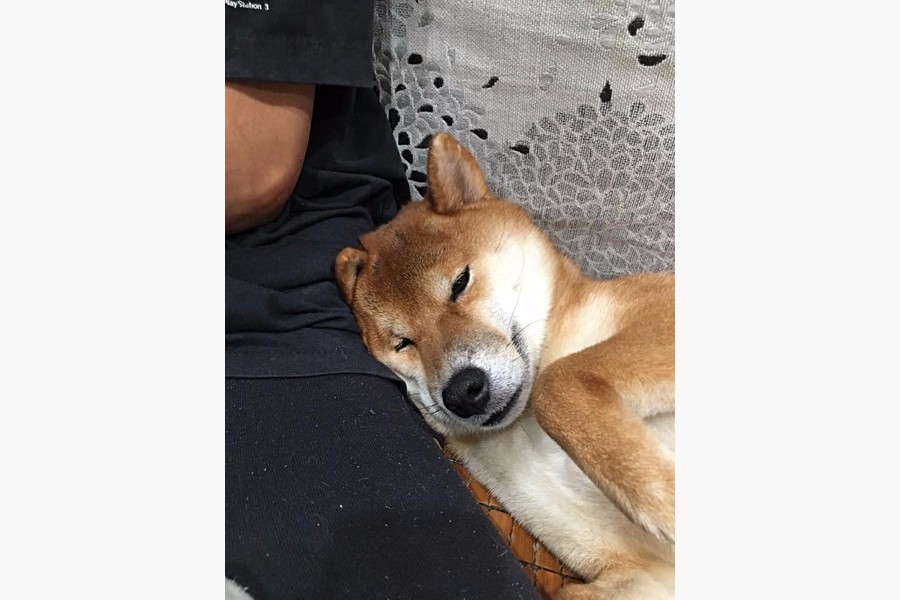 回家跟爸爸撒嬌的嘟