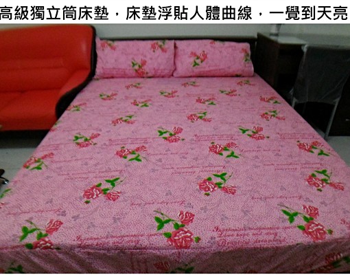 南科旁,雙人沙發+乾濕分離+全區wifi - Image 6
