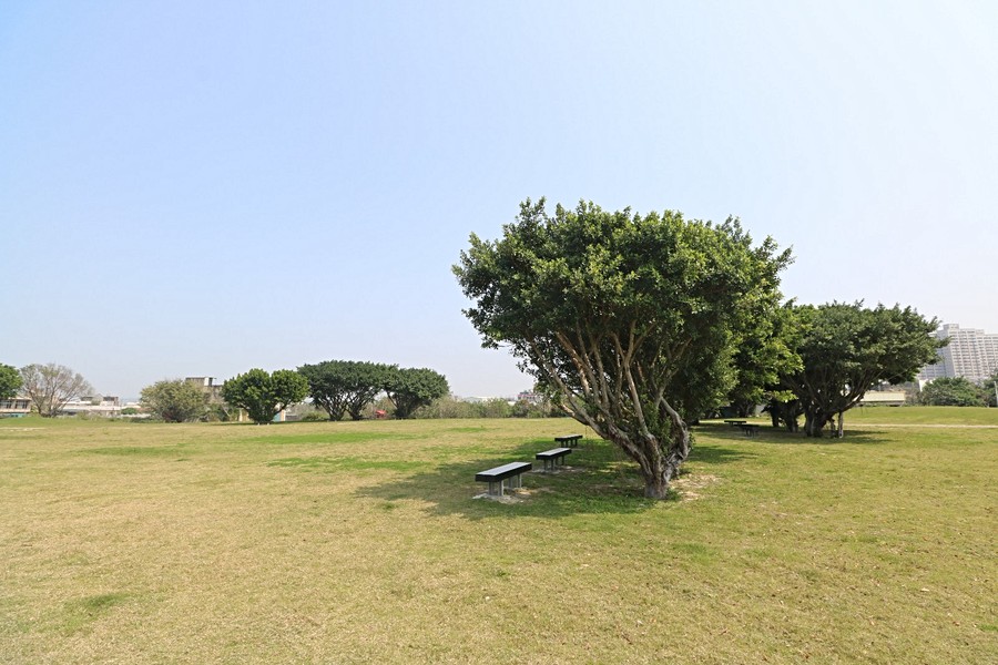 樹林頭公園