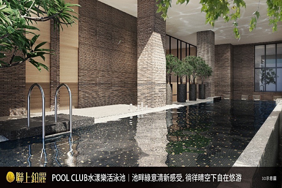 游泳池(3D模擬示意圖)
