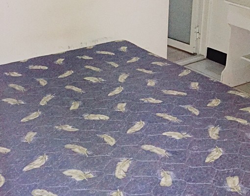 南屯最便宜套房可寵對外晾衣陽台免水費車位 - Image 5