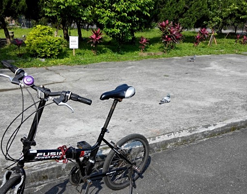 會呼吸的房子木質房分租(景觀美清靜養身) - Image 4