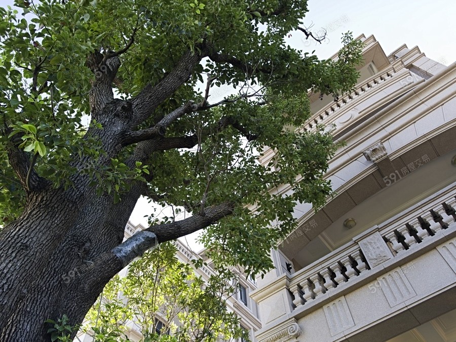 鼎峰城堡實景圖