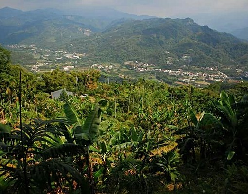 南投國姓鄉雲端上的農舍土地出租 - Image 11