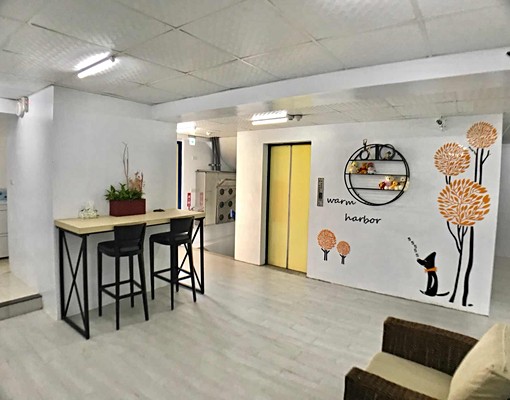 近沙鹿火車站,全新大套房可短租 - Image 5