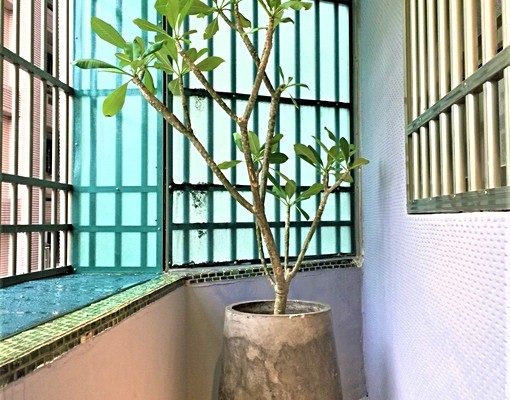 全新精裝完工時尚智慧門禁兩房一廳 - Image 15