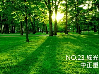綠光森林No.23