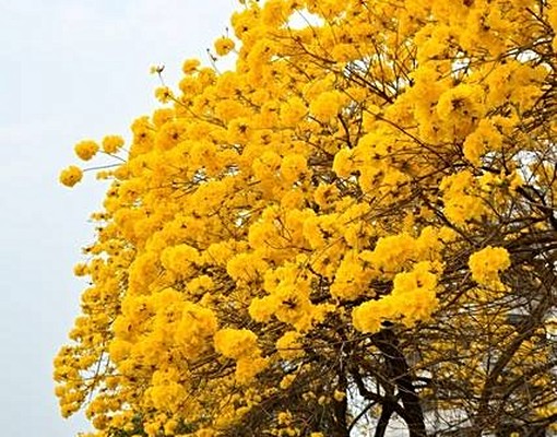 近輔仁中學-獨立套房-有陽台 - Image 5