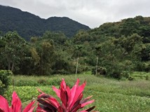 重安路便宜農地。海景山景盡..