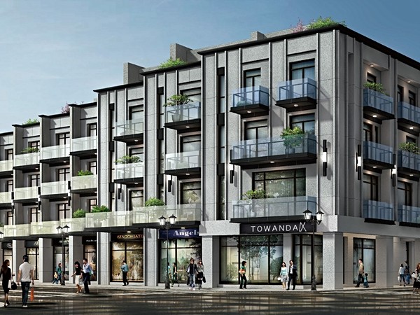 斗南圓環金川普