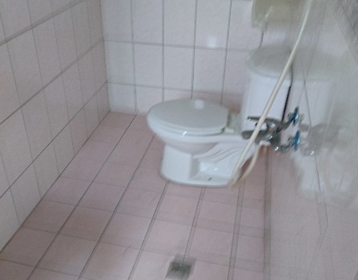 近湖口工業區_清幽大地坪透天_四套 - Image 7