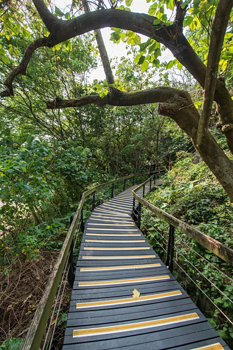 太子華威環境圖