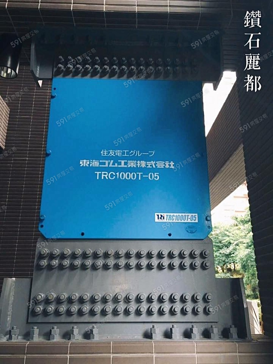 鑽石麗都實景圖