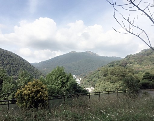 陽明山文化大學獨棟別墅.世外桃源 - Image 15