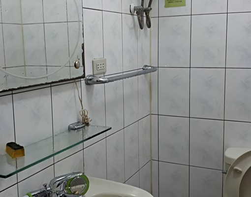近中央研究院,南軟園區 - Image 13