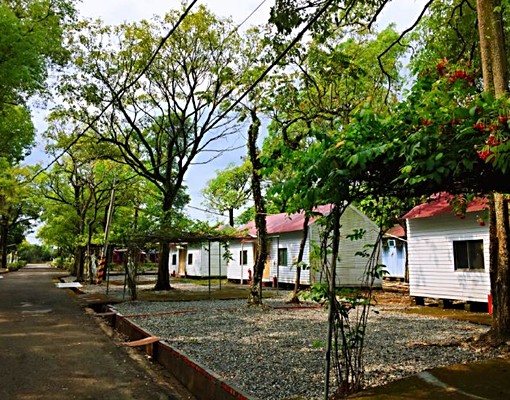 靈修、養生、工程的平價小木屋(佔地廣) - Image 3