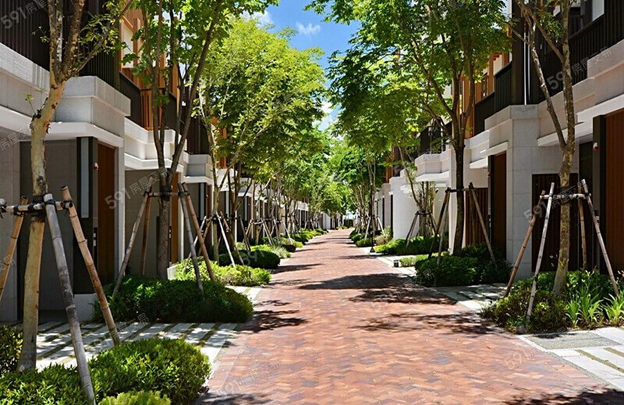 國揚翡翠森林實景圖