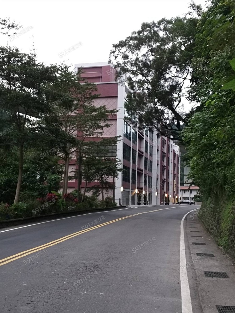 石川水岸實景圖