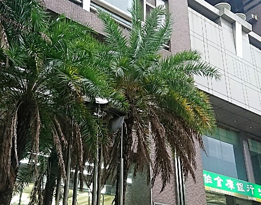 精品套房可短租1個月或2個月。 - Image 2