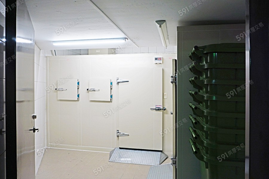 鑽石双星實景圖