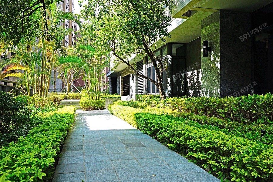 鑽石双星實景圖