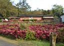 平溪區-嶺腳寮土地，13540坪