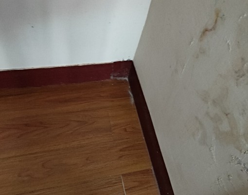 一房一廳一衛一陽台套房出租多間房可選 - Image 10