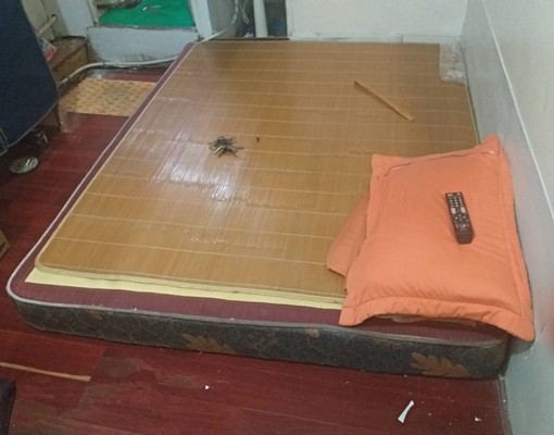 套房可炊,洗衣機共用環境舒適 - Image 1