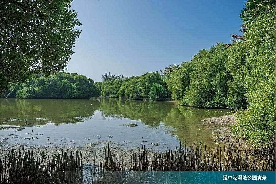 濕地公園富有多樣生態之外,也兼具調節氣候的功能性。