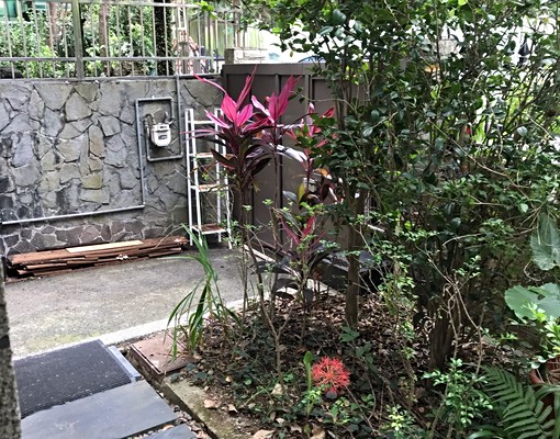 別墅一樓可申租補近辛亥站交通優 - Image 3