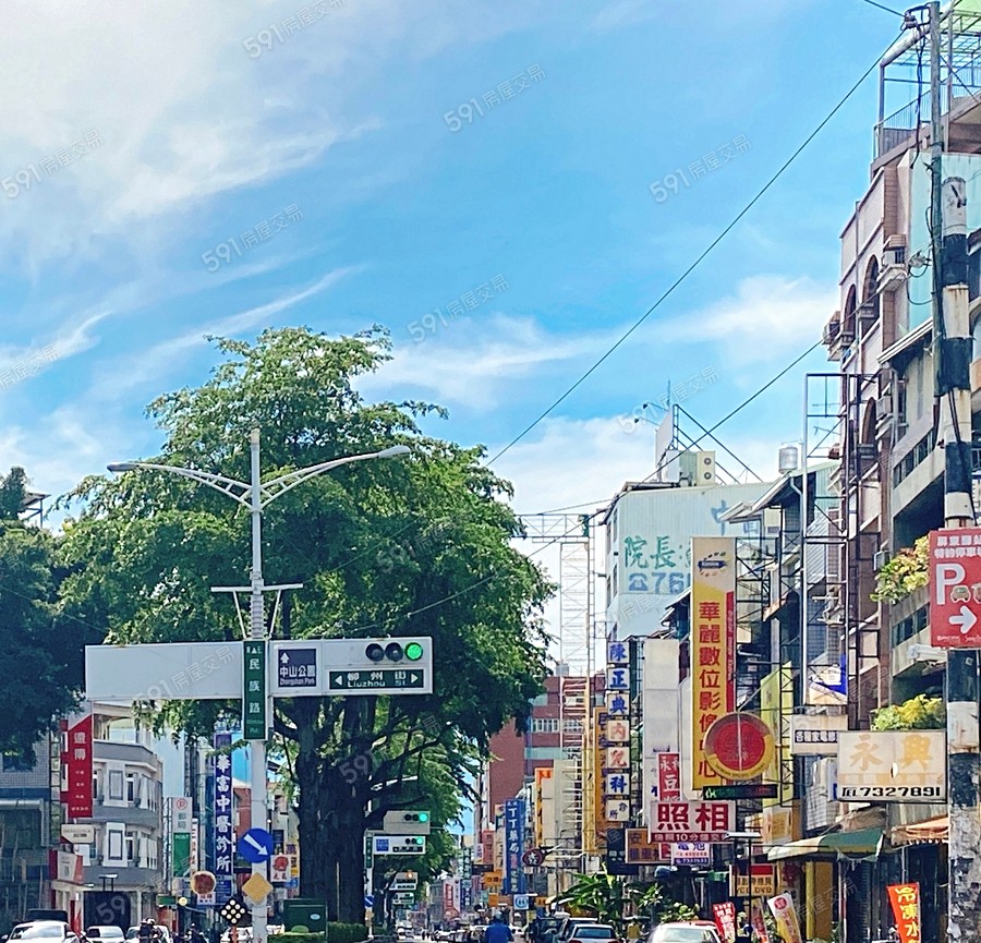 中洲種子聖殿環境圖