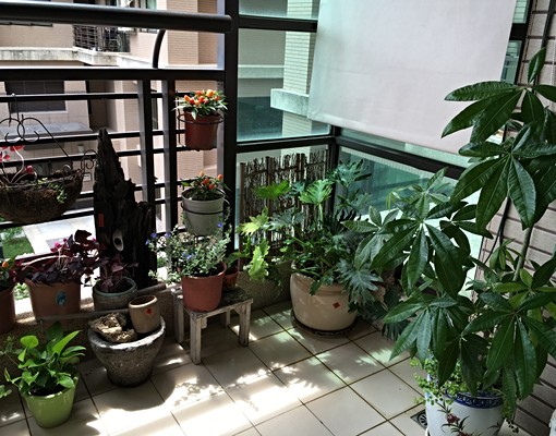 二房一廳大露台庭園宅 - Image 6